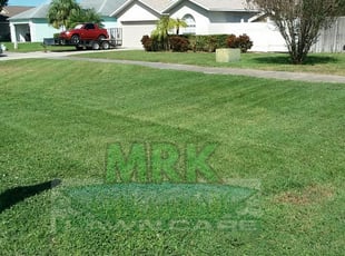 1 Largo Fl Lawn Care Service Lawn Mowing From 19 Best 2020