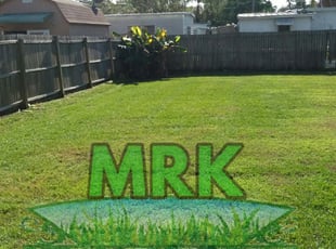 1 Largo Fl Lawn Care Service Lawn Mowing From 19 Best 2020