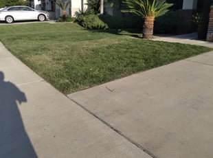 1 Laurel Md Lawn Care Service Lawn Mowing From 19 Best 2020