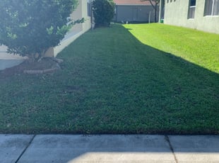 1 Laurel Md Lawn Care Service Lawn Mowing From 19 Best 2020