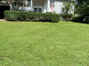 1 Laurel Md Lawn Care Service Lawn Mowing From 19 Best 2020