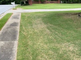 Lawrenceville Ga Lawn Care Service Lawn Mowing From 19 Rated Best 2020