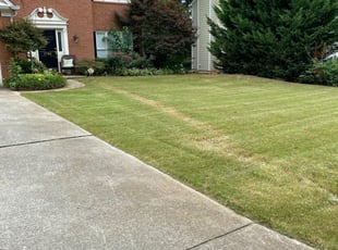 Lawrenceville Ga Lawn Care Service Lawn Mowing From 19 Rated Best 2020