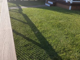 1 League City Tx Lawn Care Service Lawn Mowing From 19 Best 2020