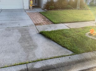 1 League City Tx Lawn Care Service Lawn Mowing From 19 Best 2020