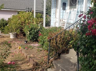 1 League City Tx Lawn Care Service Lawn Mowing From 19 Best 2020