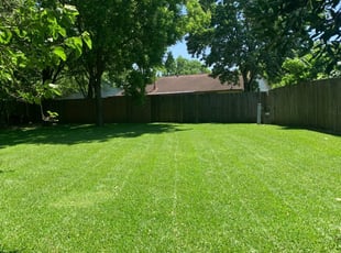1 League City Tx Lawn Care Service Lawn Mowing From 19 Best 2020
