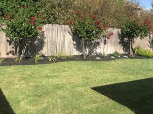 1 Leander Tx Lawn Care Service Lawn Mowing From 19 Best 2020