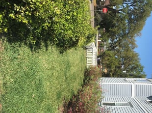 1 Lebanon Tn Lawn Care Service Lawn Mowing From 19 Best 2020