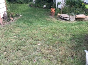 Leesburg, VA Lawn Care Service | Lawn Mowing from $19 | LawnStarter