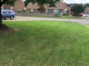 1 Leesburg Va Lawn Care Service Lawn Mowing From 19 Best 2020