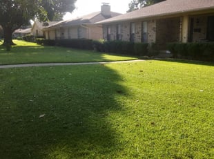 1 Leesburg Va Lawn Care Service Lawn Mowing From 19 Best 2020