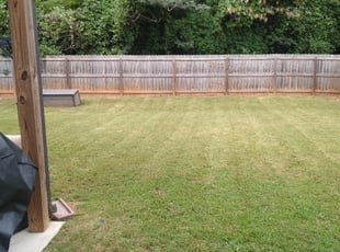 1 Leesburg Va Lawn Care Service Lawn Mowing From 19 Best 2020