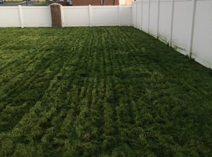 Lehi Ut Lawn Care Service Lawn Mowing From 19 Rated Best 2020