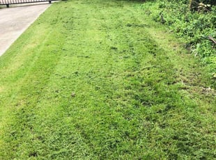 Leland Nc Lawn Care Service Lawn Mowing From 19 Rated Best 2020
