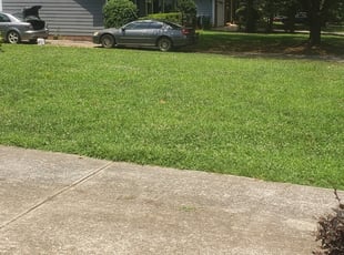 Lenoir City Tn Lawn Care Service Lawn Mowing From 19 Rated Best 2020