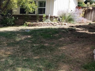 Levittown Pa Lawn Care Service Lawn Mowing From 19 Rated Best 2020