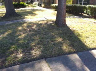 1 Lewis Center Oh Lawn Care Service Lawn Mowing From 19 Best 2020