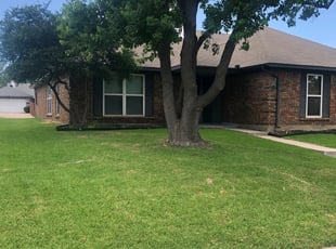 1 Lewisville Tx Lawn Care Service Lawn Mowing From 19 Best 2020
