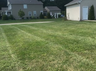 1 Lewisville Tx Lawn Care Service Lawn Mowing From 19 Best 2020