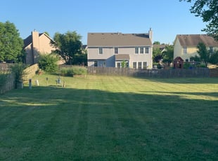 1 Lexington Sc Lawn Care Service Lawn Mowing From 19 Best 2020