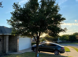 1 Lexington Sc Lawn Care Service Lawn Mowing From 19 Best 2020
