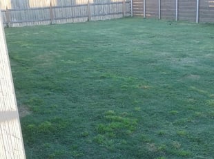 1 Liberty Mo Lawn Care Service Lawn Mowing From 19 Best 2020