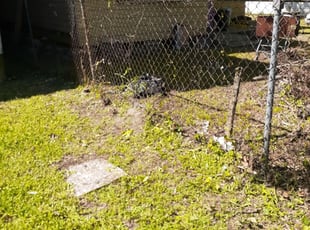 Lilburn Ga Lawn Care Service Lawn Mowing From 19 Rated Best 2020
