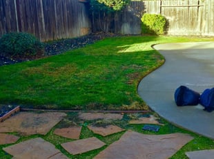 Lincoln Ca Lawn Care Service Lawn Mowing From 19 Rated Best 2020