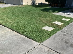 Lincoln Park Mi Lawn Care Service Lawn Mowing From 19 Rated Best 2020