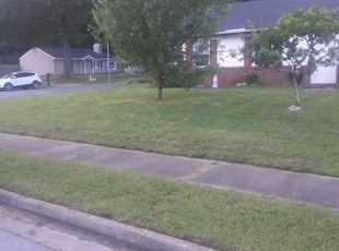 Lincoln Park Mi Lawn Care Service Lawn Mowing From 19 Rated Best 2020