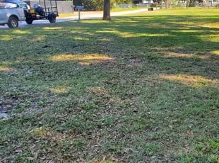 1 Lincolnton Nc Lawn Care Service Lawn Mowing From 19 Best 2020