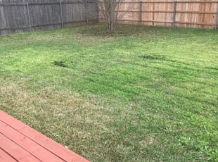 1 Lincolnton Nc Lawn Care Service Lawn Mowing From 19 Best 2020