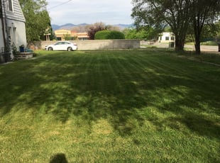Lithonia Ga Lawn Care Service Lawn Mowing From 19 Rated Best 2020