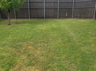 Lithonia Ga Lawn Care Service Lawn Mowing From 19 Rated Best 2020