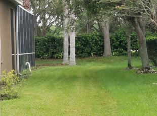 Lithonia Ga Lawn Care Service Lawn Mowing From 19 Rated Best 2020