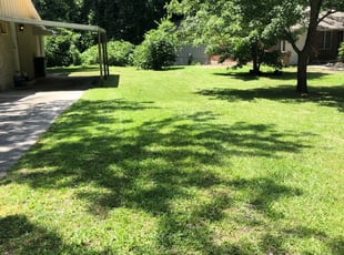 Little Elm Tx Lawn Care Service Lawn Mowing From 19 Rated Best 2020