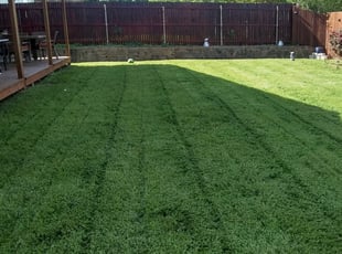 11 Best Lawn Care Services in Little River, SC 2020 ...