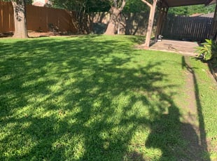 1 Liverpool Ny Lawn Care Service Lawn Mowing From 19 Best 2020