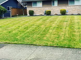 Livonia Mi Lawn Care Service Lawn Mowing From 19 Rated Best 2020