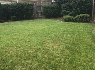 Livonia Mi Lawn Care Service Lawn Mowing From 19 Rated Best 2020