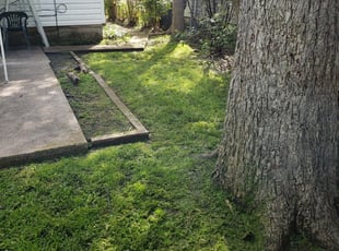 Logan Oh Lawn Care Service Lawn Mowing From 19 Rated Best 2020