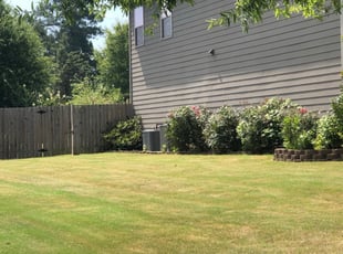 Loganville Ga Lawn Care Service Lawn Mowing From 19 Rated Best 2020