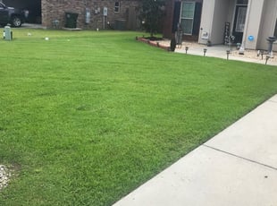 Lone Tree Co Lawn Care Service Lawn Mowing From 19 Rated Best 2020