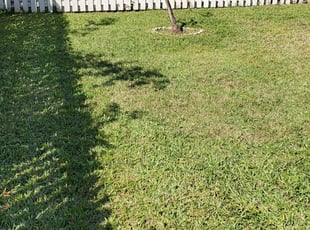 Lorain Oh Lawn Care Service Lawn Mowing From 19 Rated Best 2020
