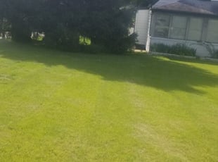 Lorain Oh Lawn Care Service Lawn Mowing From 19 Rated Best 2020