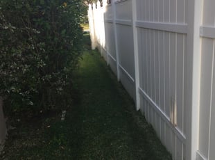 Los Angeles Ca Lawn Care Lawn Mowing From 19 Lawnstarter