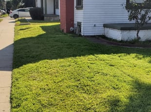 Los Angeles Ca Lawn Care Lawn Mowing From 19 Lawnstarter