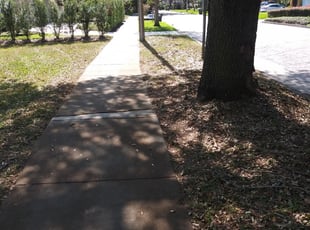 Los Angeles Ca Lawn Care Lawn Mowing From 19 Lawnstarter