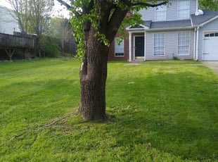 Los Angeles Ca Lawn Care Lawn Mowing From 19 Lawnstarter